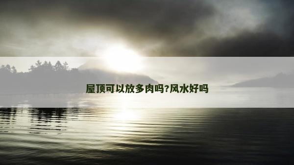 屋頂可以放多肉嗎?風水好嗎