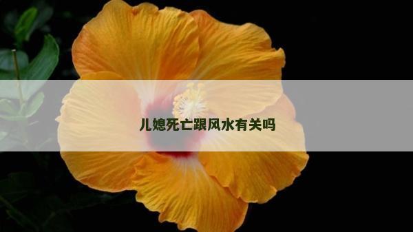 兒媳死亡跟風水有關嗎