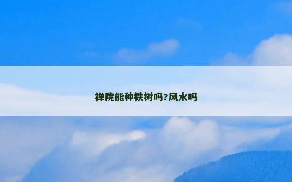 禪院能種鐵樹嗎?風(fēng)水嗎