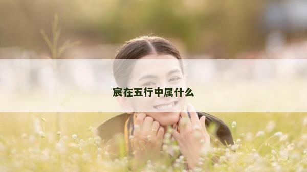 宸在五行中屬什么