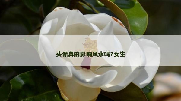 頭像真的影響風水嗎?女生