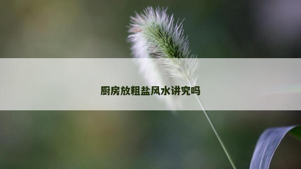 廚房放粗鹽風(fēng)水講究嗎 廚房放粗鹽風(fēng)水講究嗎