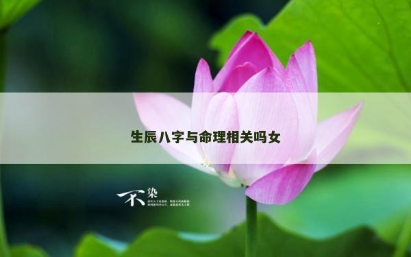 生辰八字與命理相關嗎女