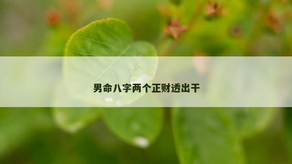 男命八字兩個(gè)正財(cái)透出干 男命八字兩個(gè)正財(cái)透出干