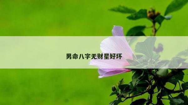 男命八字無財星好壞