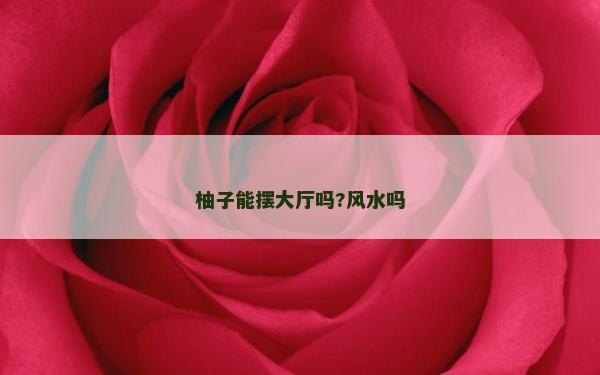 柚子能擺大廳嗎?風(fēng)水嗎