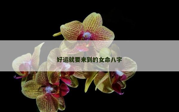 好運(yùn)就要來(lái)到的女命八字