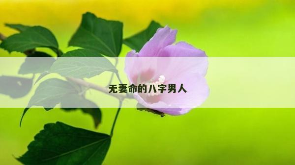 無妻命的八字男人 無妻命的八字男人