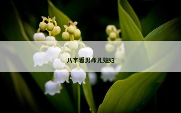 八字看男命兒媳婦