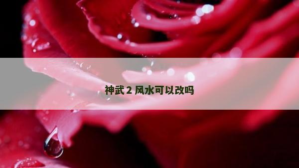 神武２風水可以改嗎