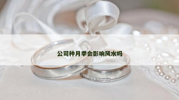 公司種月季會影響風(fēng)水嗎