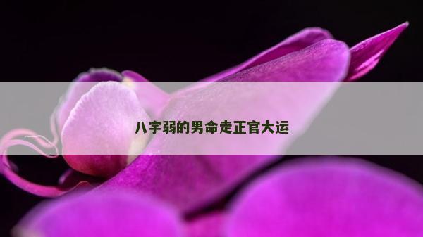 八字弱的男命走正官大運