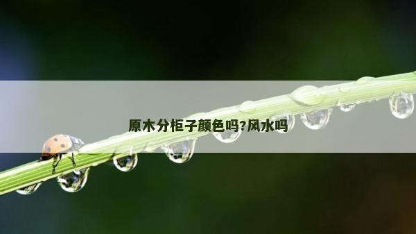 原木分柜子顏色嗎?風(fēng)水嗎