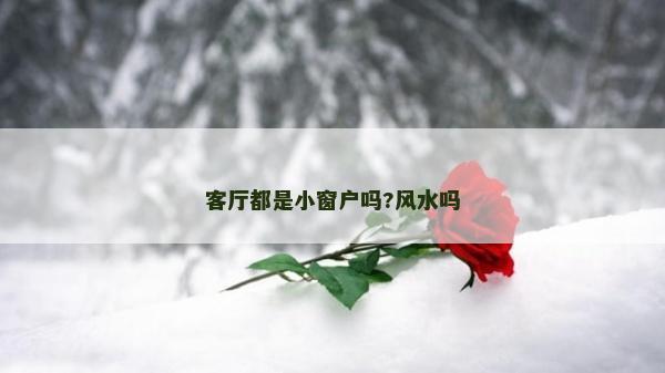 客廳都是小窗戶嗎?風(fēng)水嗎
