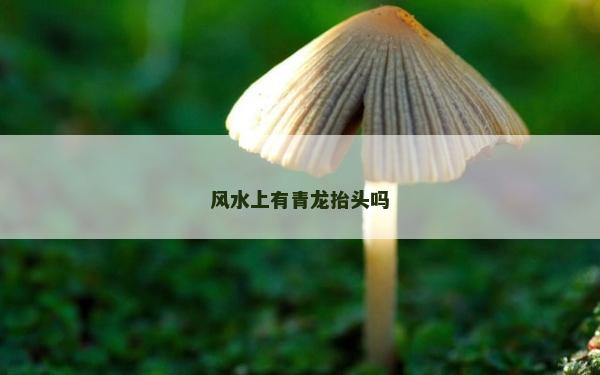 風水上有青龍?zhí)ь^嗎