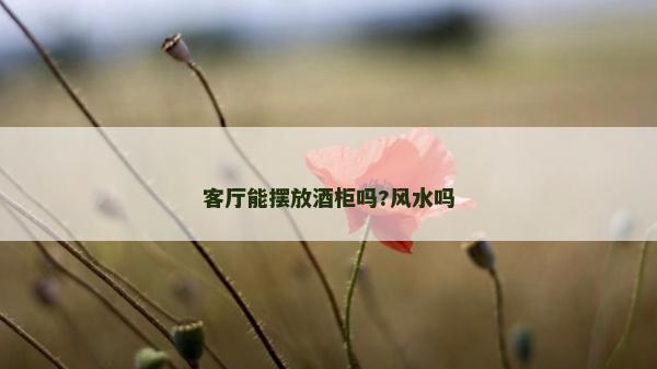 客廳能擺放酒柜嗎?風水嗎