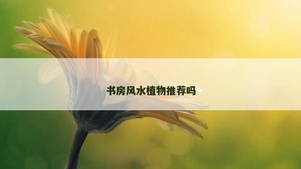 書房風水植物推薦嗎
