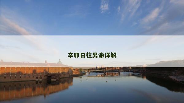辛卯日柱男命詳解