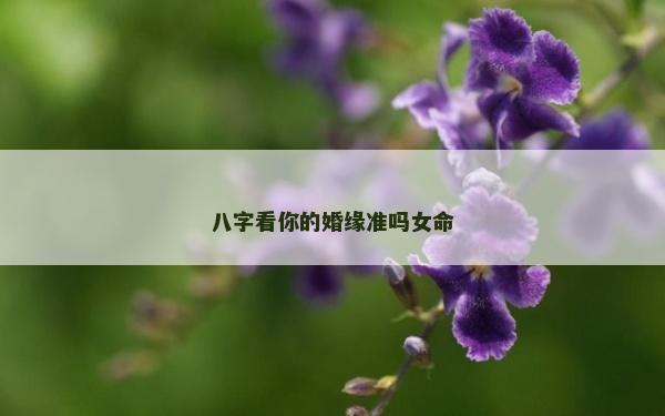 八字看你的婚緣準嗎女命