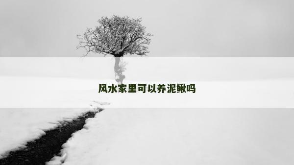 風水家里可以養泥鰍嗎