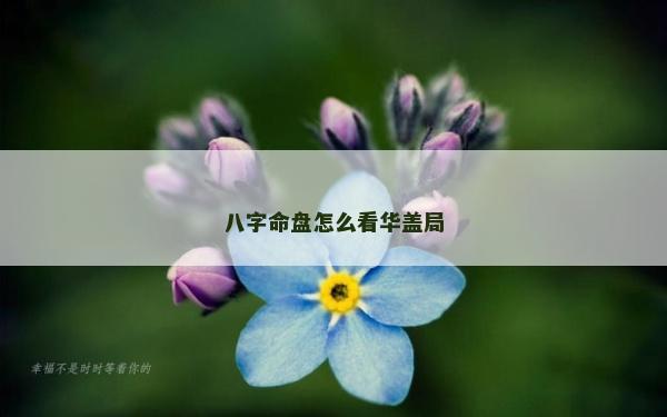 八字命盤怎么看華蓋局