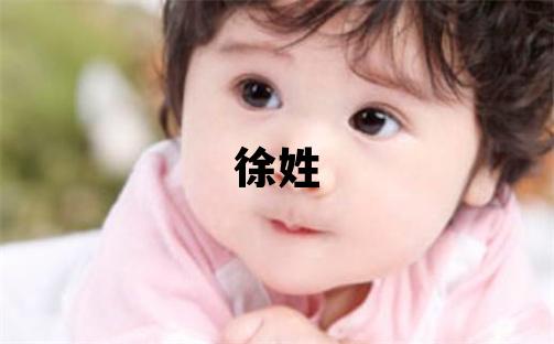 徐姓有新意的男寶寶名字