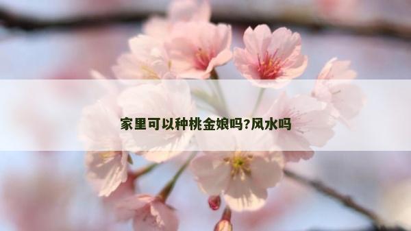 家里可以種桃金娘嗎?風(fēng)水嗎