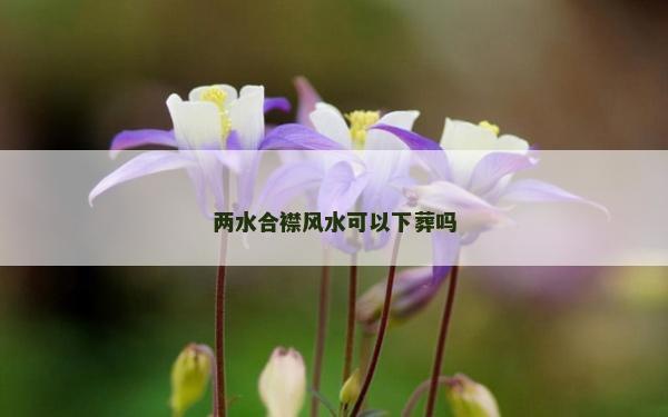 兩水合襟風水可以下葬嗎