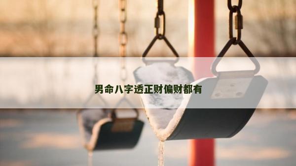 男命八字透正財偏財都有