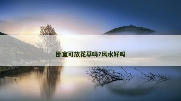 臥室可放花草嗎?風水好嗎