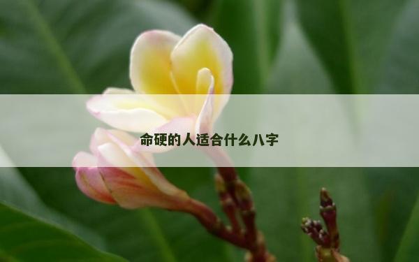 命硬的人適合什么八字