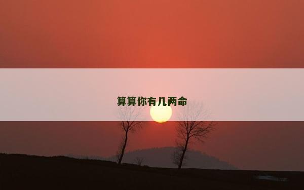 算算你有幾兩命