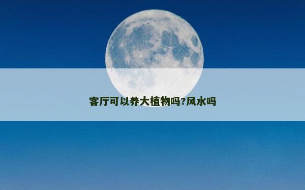 客廳可以養大植物嗎?風水嗎