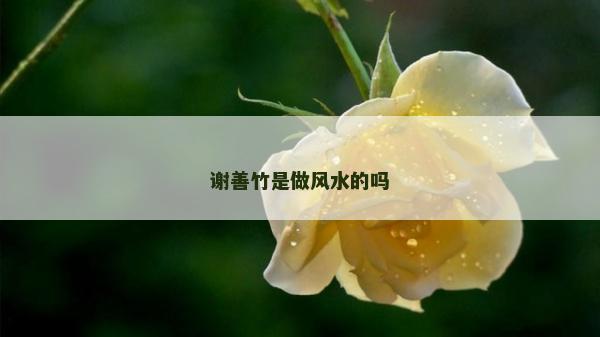 謝善竹是做風水的嗎