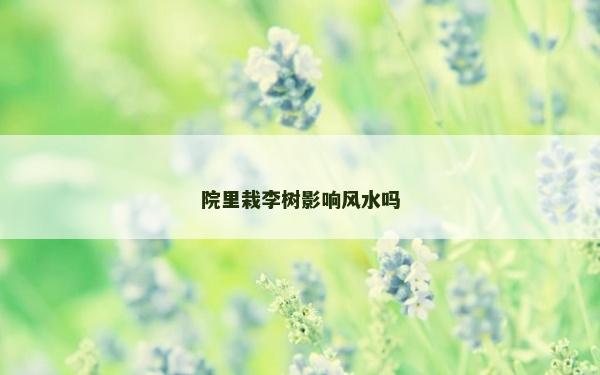 院里栽李樹影響風水嗎