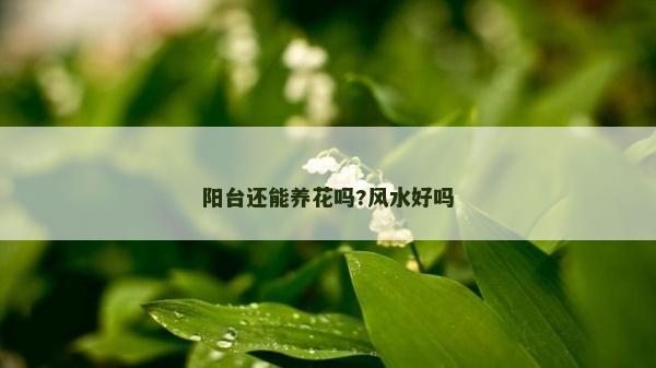 陽臺還能養花嗎?風水好嗎