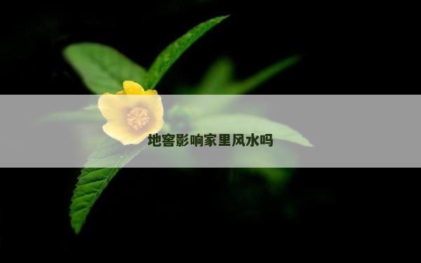 地窖影響家里風水嗎