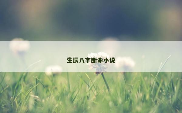 生辰八字斷命小說