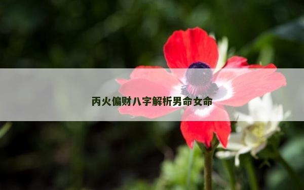 丙火偏財八字解析男命女命