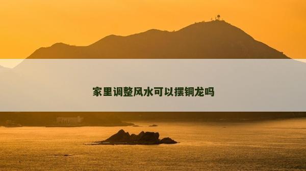 家里調(diào)整風(fēng)水可以擺銅龍嗎