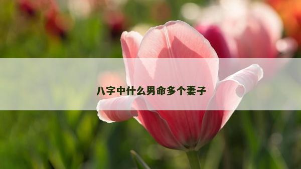八字中什么男命多個妻子