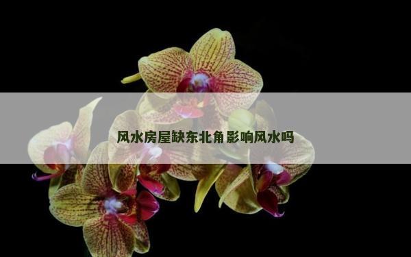 風水房屋缺東北角影響風水嗎