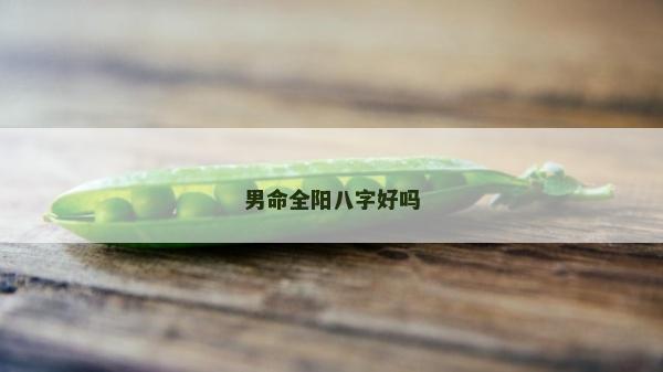 男命全陽八字好嗎