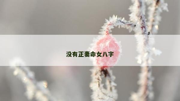 沒有正妻命女八字