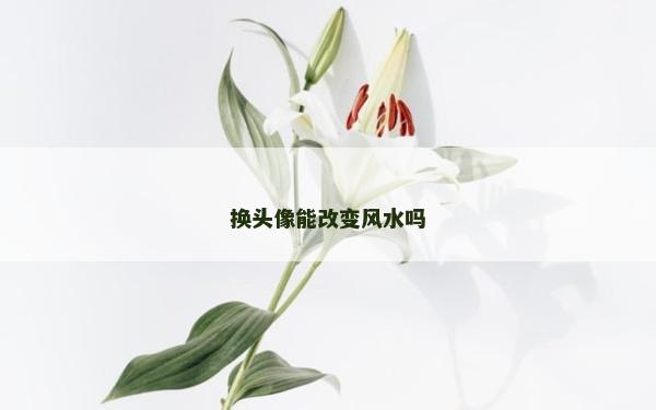換頭像能改變風水嗎