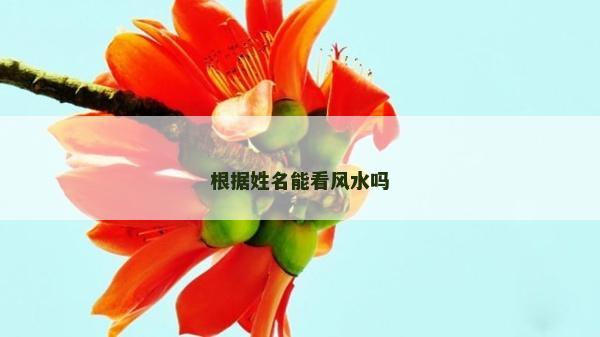根據姓名能看風水嗎