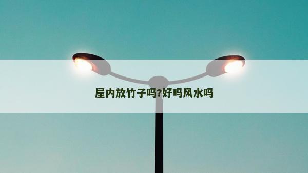 屋內(nèi)放竹子嗎?好嗎風(fēng)水嗎 屋內(nèi)放竹子嗎?好嗎風(fēng)水嗎