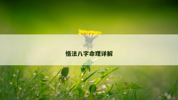 悟法八字命理詳解 悟法八字命理詳解