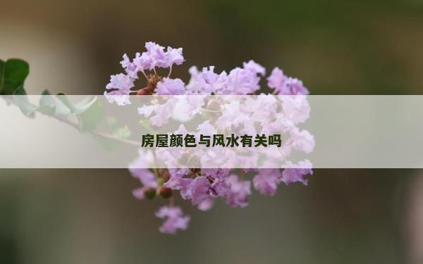 房屋顏色與風水有關嗎 房屋顏色與風水有關嗎