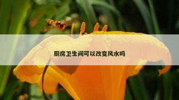 廚房衛生間可以改變風水嗎
